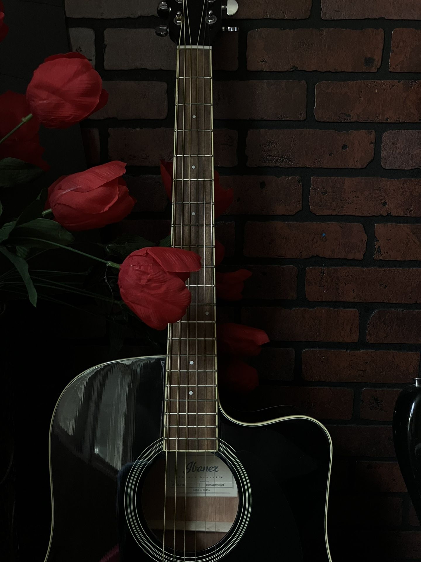 Ibanez 6 String Acoustic (Black)