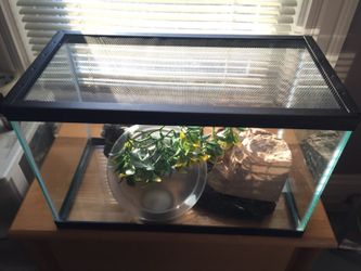 2, Clean 20 gallon tank, tons of extras