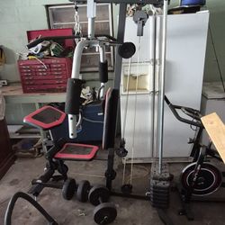 Home Gym In One Legs Arms Back Biceps Triceps And More
