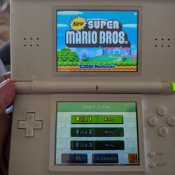 Nintendo DS + R4 Sim Card 