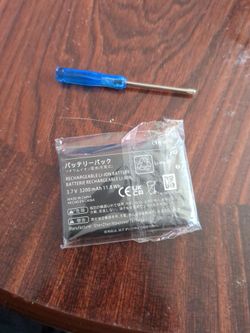 DS Replacement battery