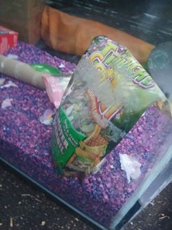 Aquarium for Hamsters only no fish bring 2 people abd and trucks
