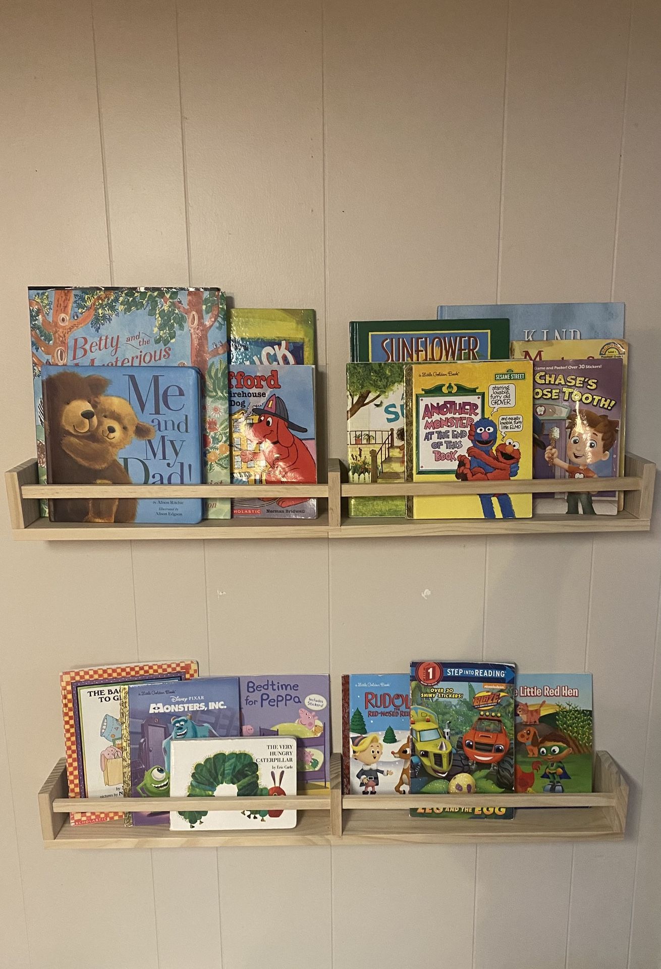 Wall Book Shelf’s