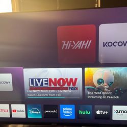 65 Inch Tv 