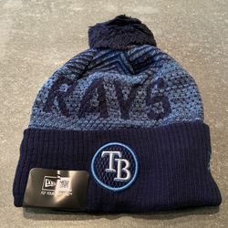 PRICE IS FIRM Brand new Tampa Bay Rays beanie