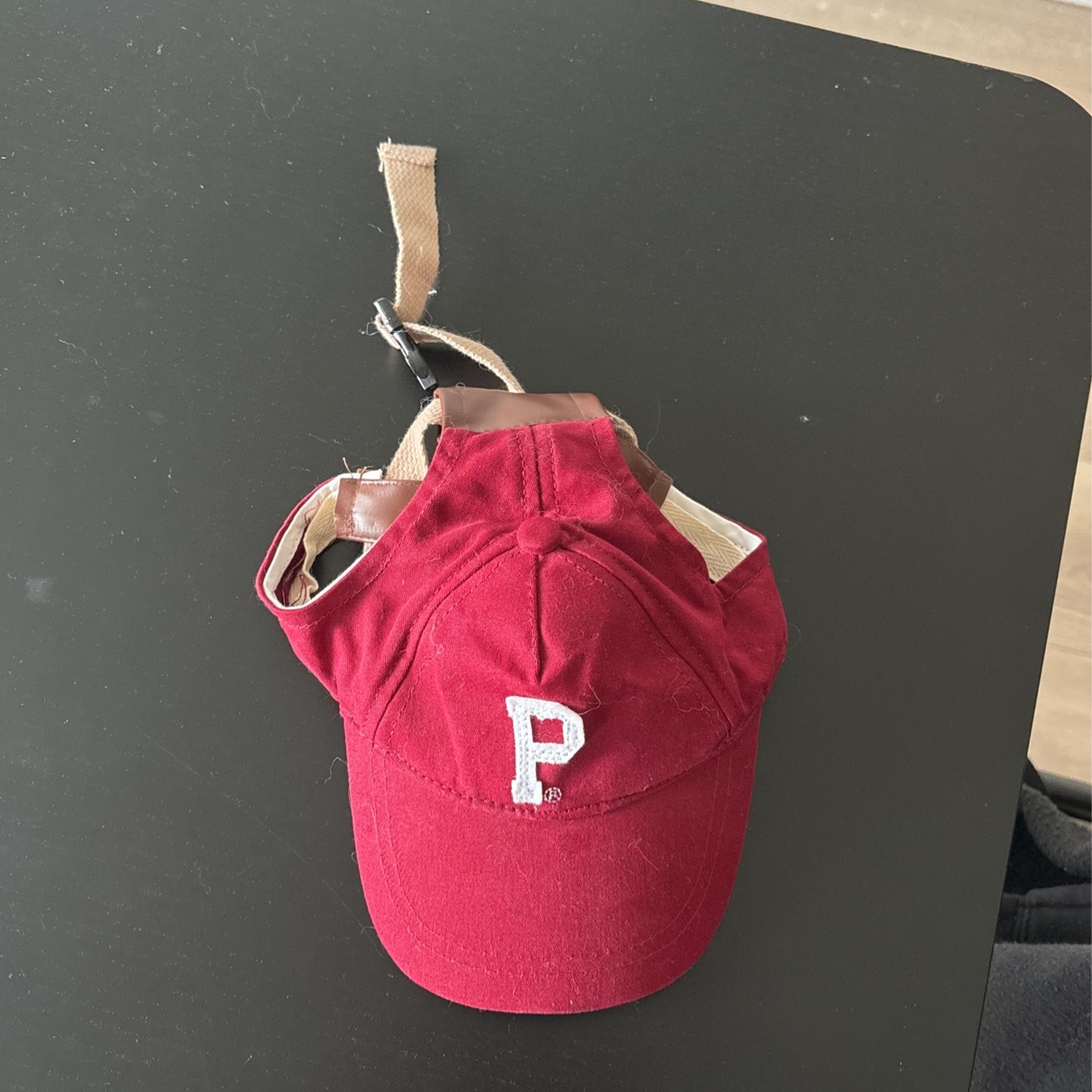 Portland  Gear Dog Hat 