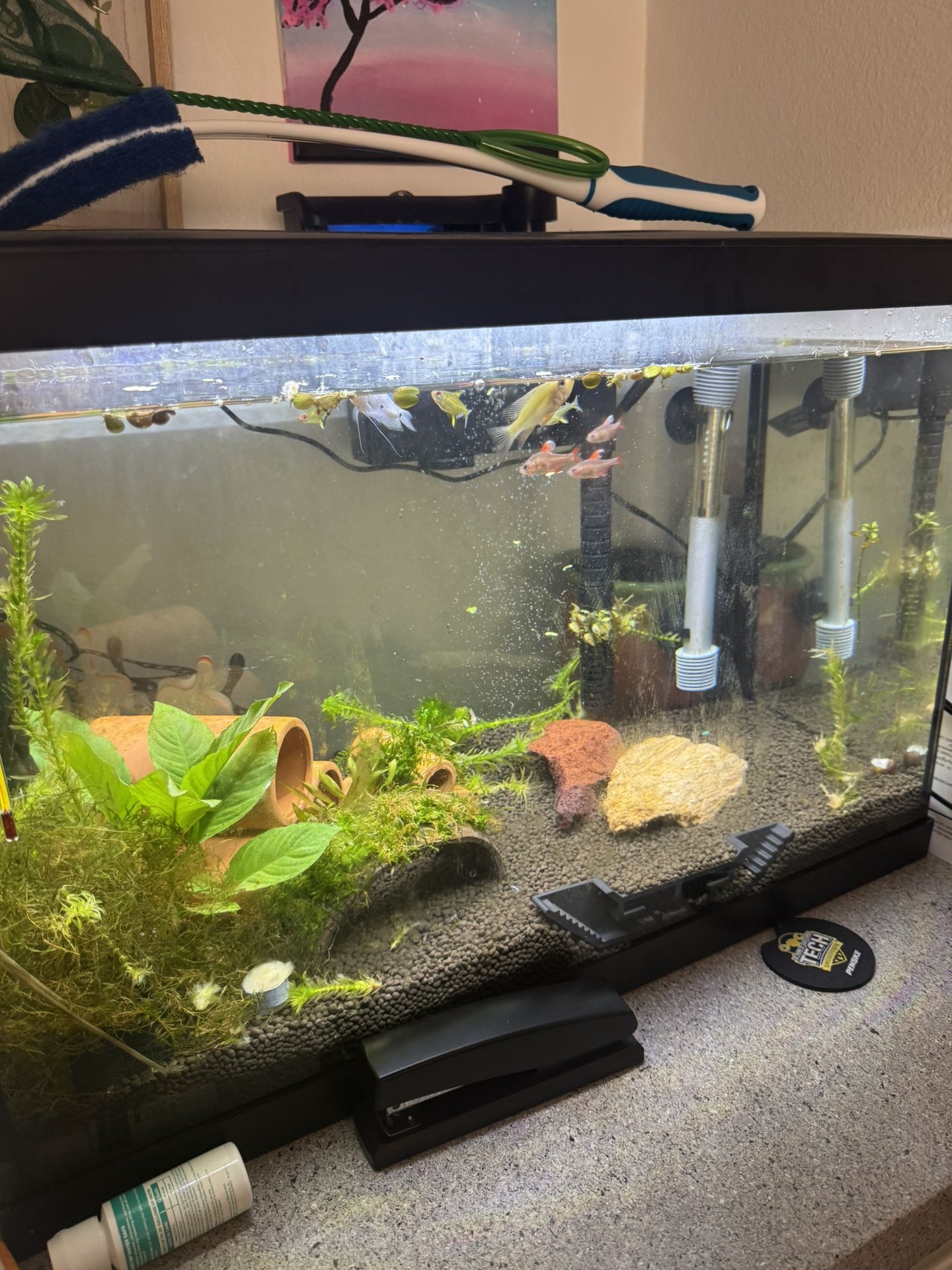 Fish Tank For Sale