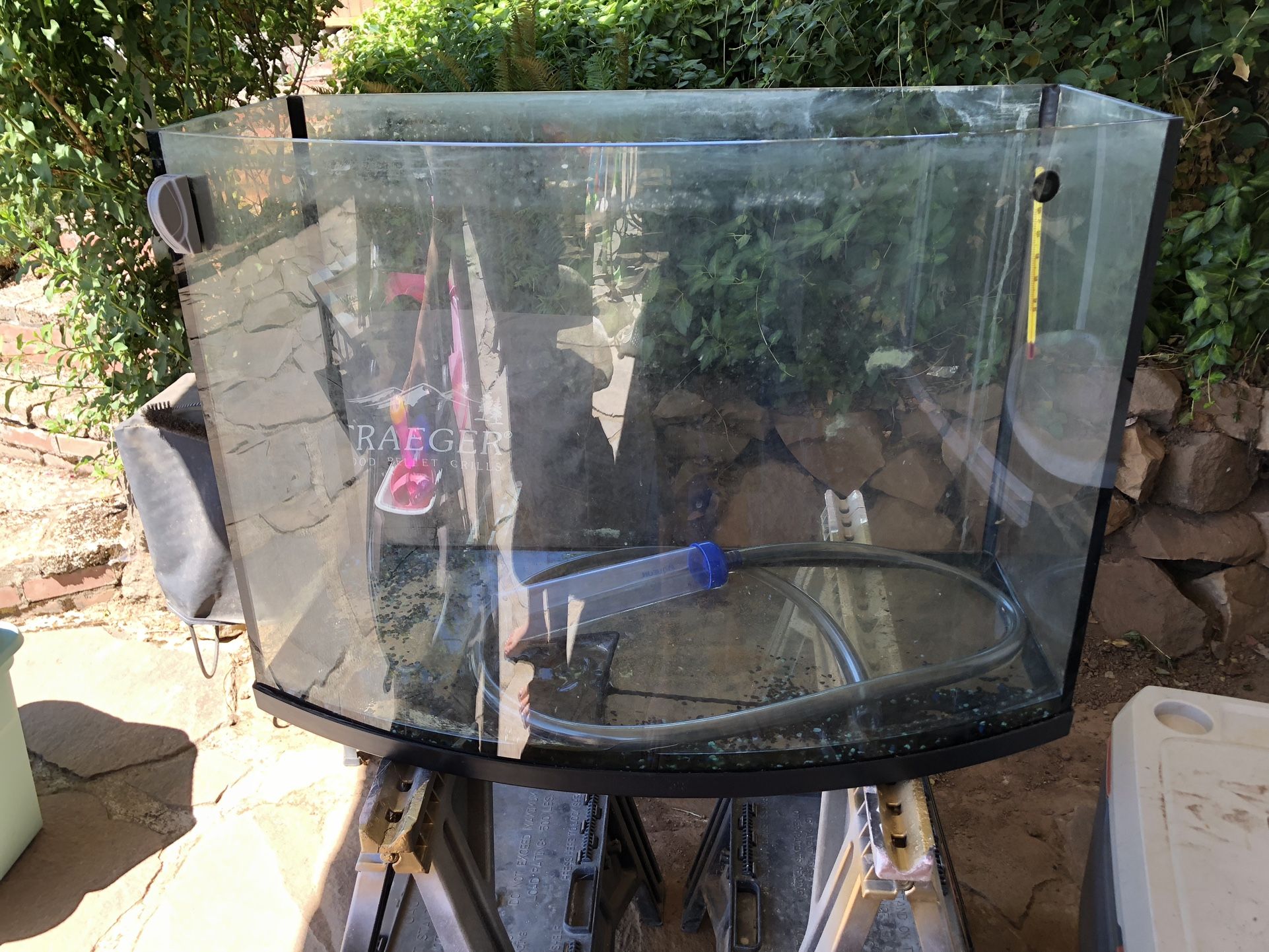 35 Gallon Bowfront Fish tank $100