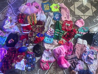 Large Lot of Small Dog Clothes