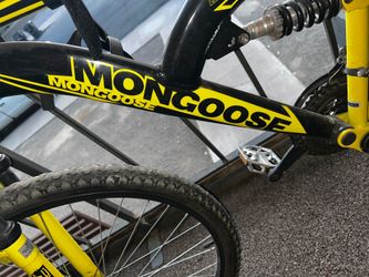 Adult bike