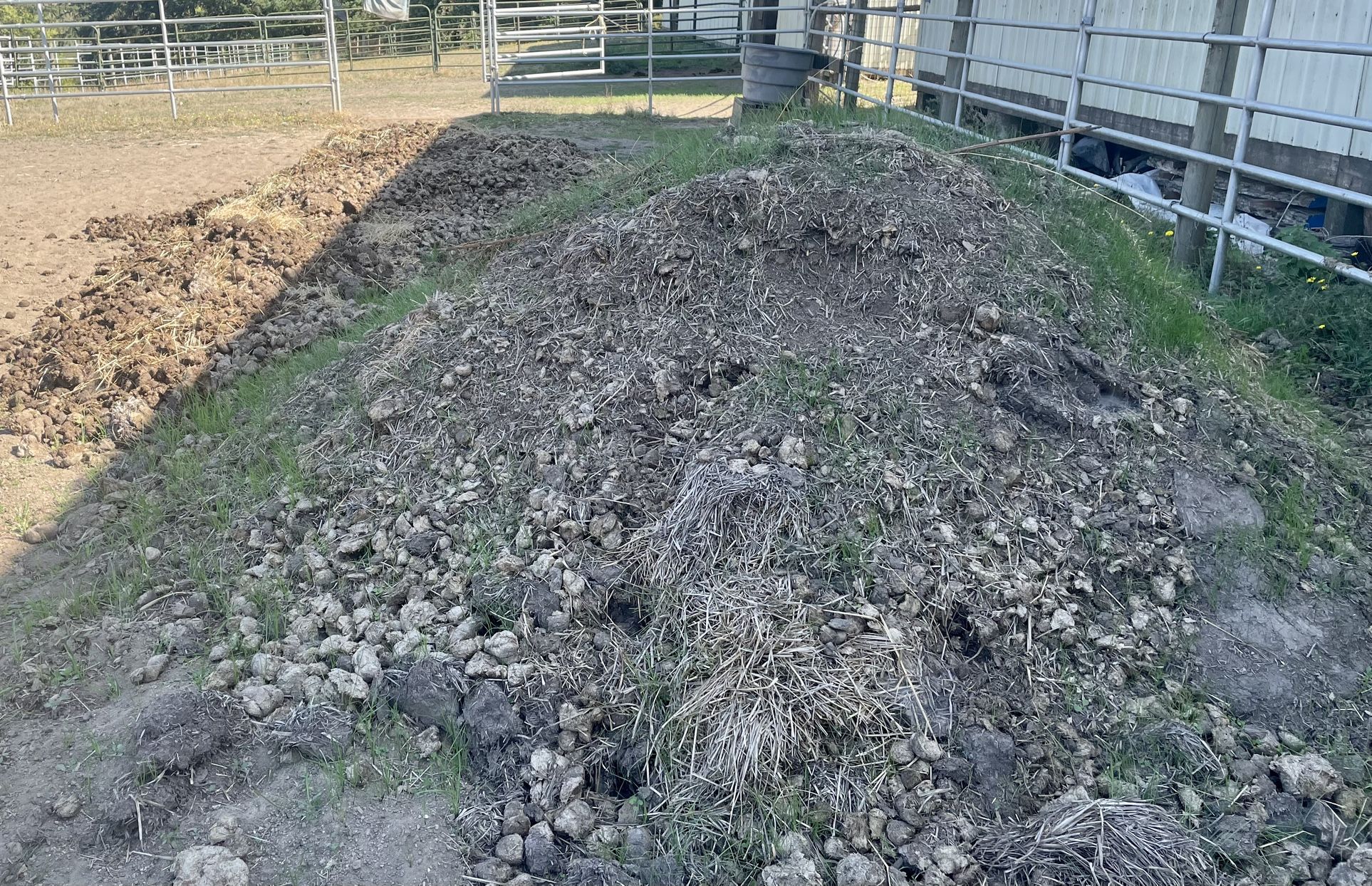 Free Horse Manure