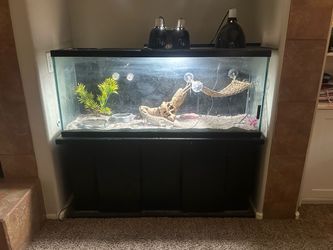 Reptile/fish tank