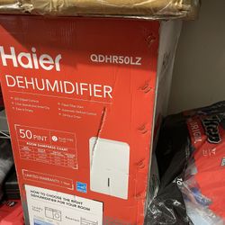 Dehumidifier 