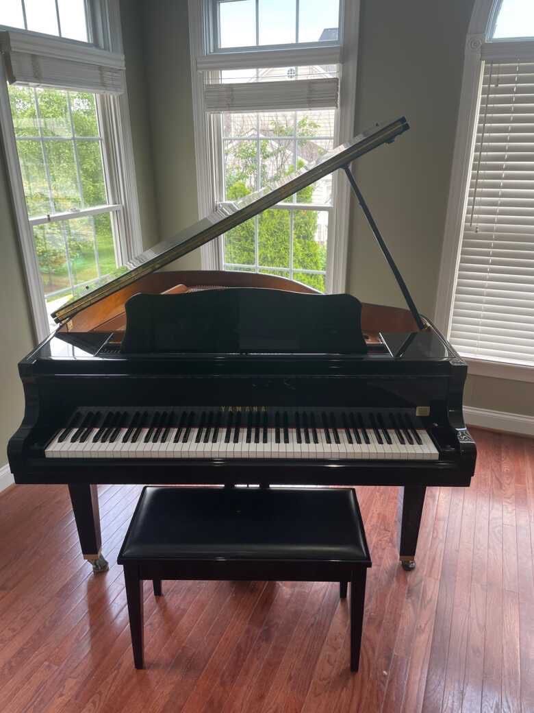Grand Piano 