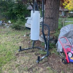 Everlast Punching Bag With Stand