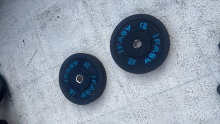 45 pound plates (2)