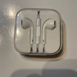 Apple Earbuds Auxiliary
