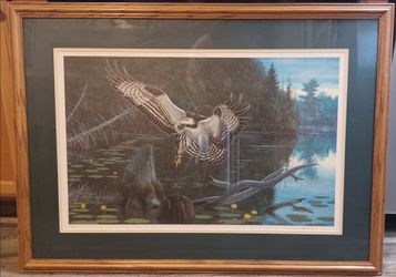 American Osprey by R.C. Kray signed print