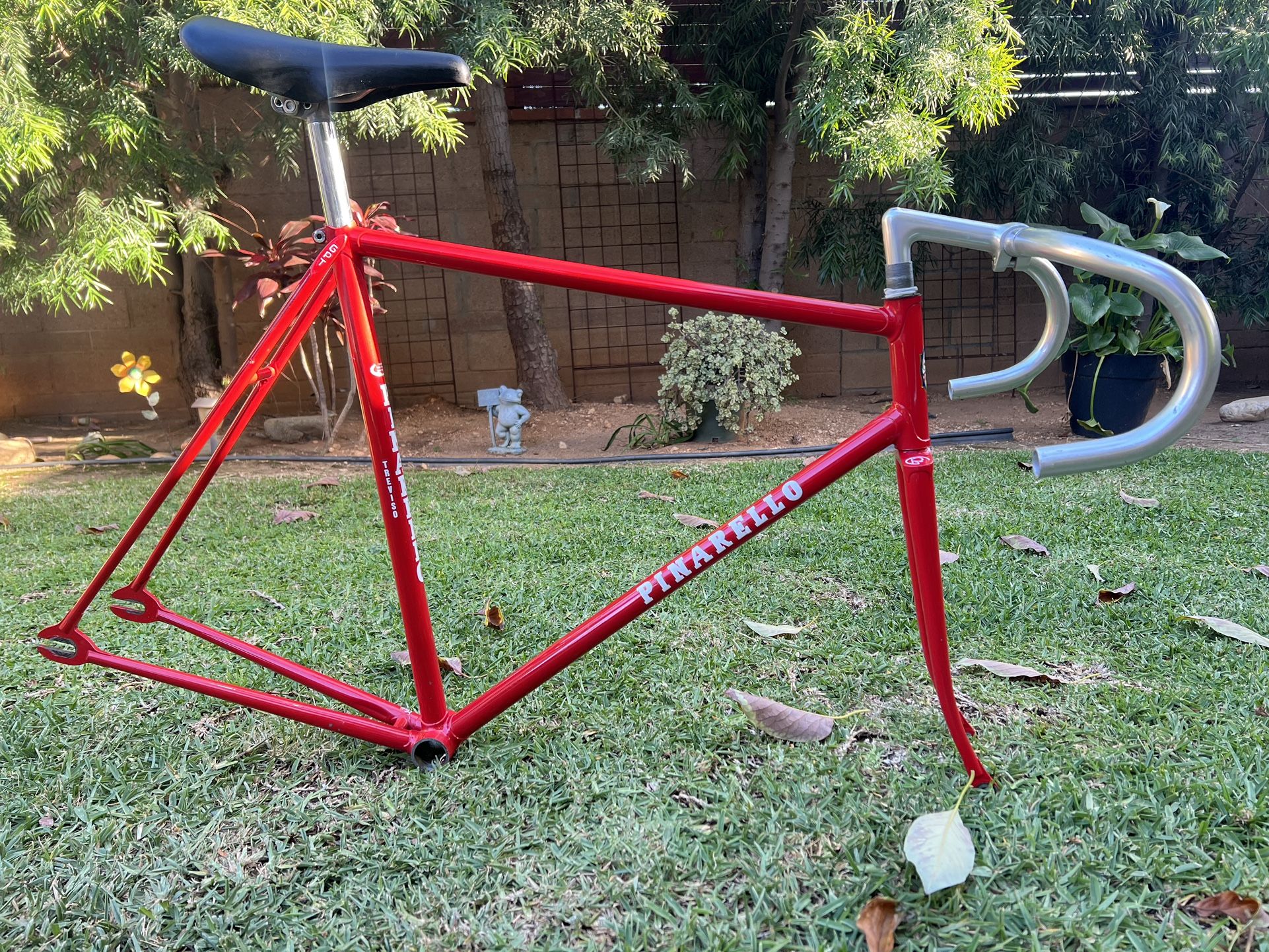 pinarello 1970