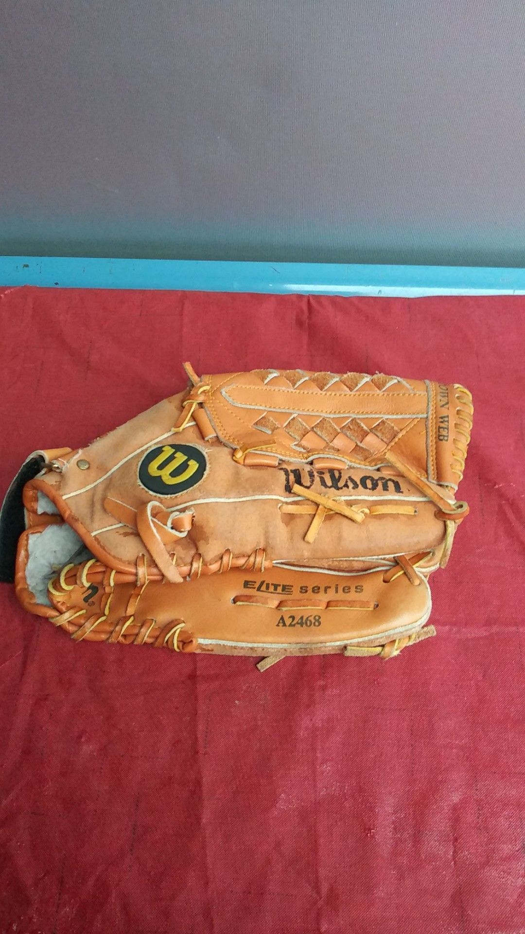 Wilson Elite series baseball glove