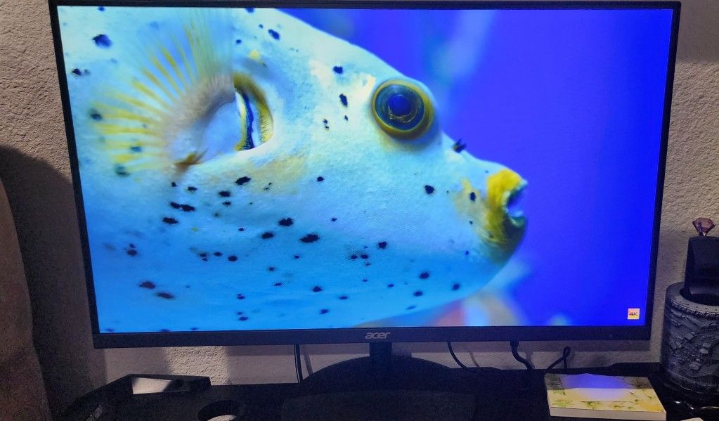 Acer Monitor
