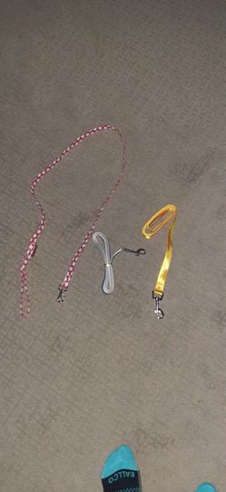 $5 each  DOG leash 79936