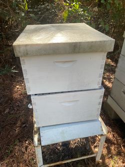 Empty Beehive Two Deep Box Setup