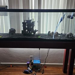 125 Gallon Fish Tank