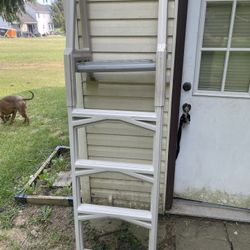 Pool Ladder (deck)