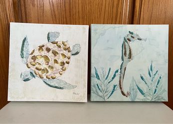 (2) Turtle & Seahorse Pictures