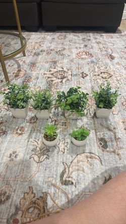 Faux assortment mini plants
