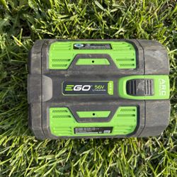 Ego Batteries