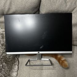 HP Full HD Monitor