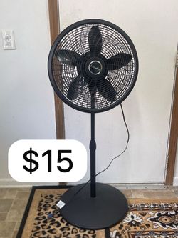 Fan