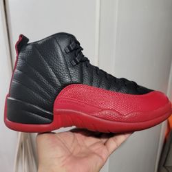 Air Jordan 12 Flu Games 