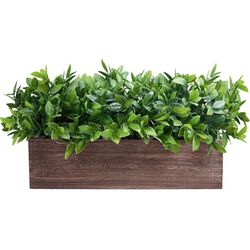 Winlyn 14" Artificial Boxwood Plants in Rectangular Wood 
