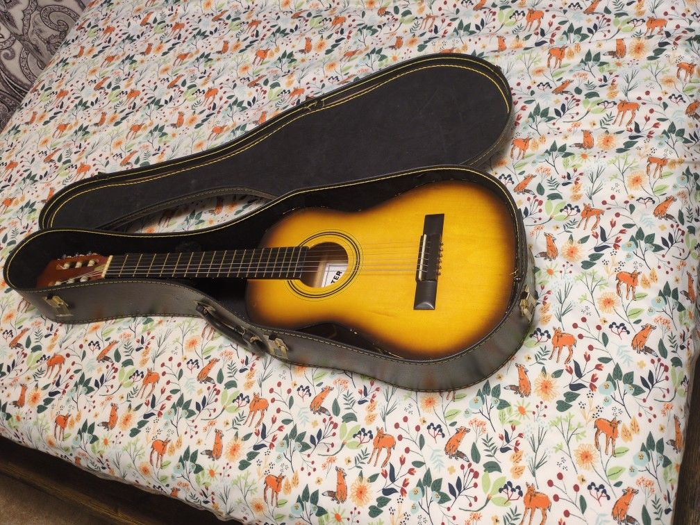 Beginner Guitar Starter Series