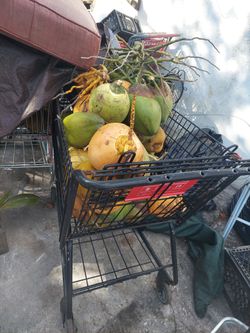 Amazing Coconuts $2 Each 