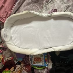 Baby Delight Snuggle Nest Bed Co-sleeper 