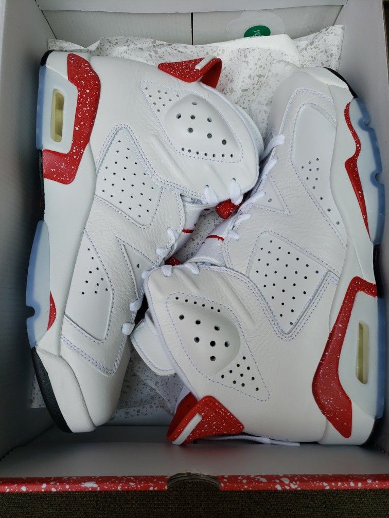 BRAND NEW AIR JORDAN 6 RETRO