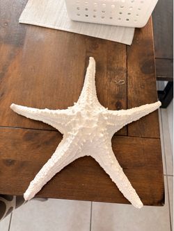 Beautiful Starfish Decor -Heavy