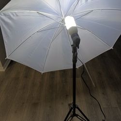 Photography Lights