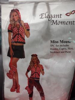 Adult Sexy Mini Mouse Costume