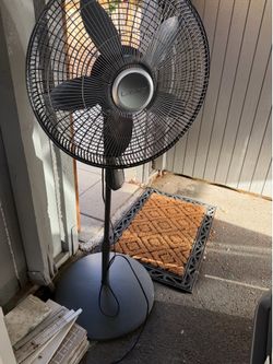 Fan