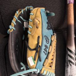 Wood Bats / Glove 