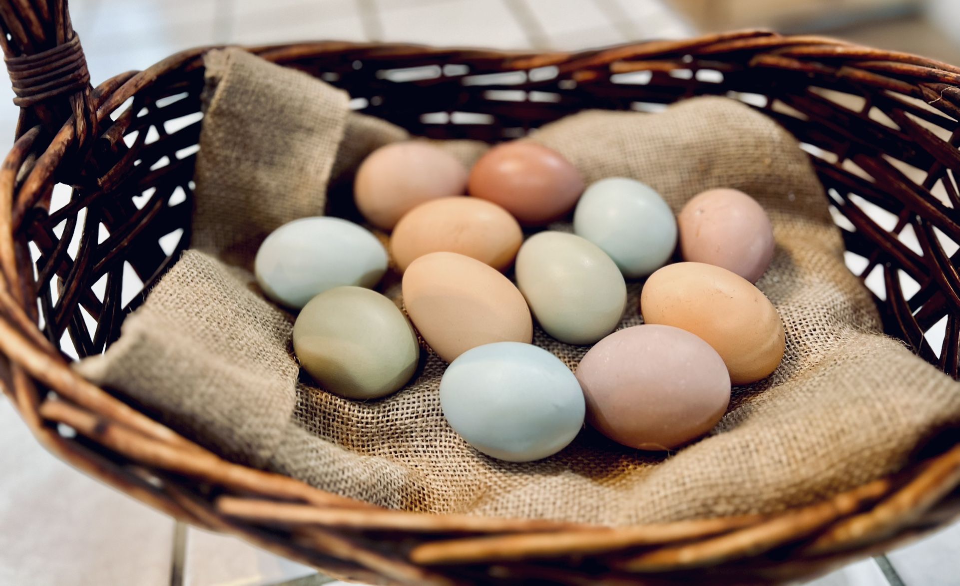 Fresh Eggs Per Dozen/ Homegrown Hens/Pullets/Chicks 🐓🐣 Large -X Large 🥚 