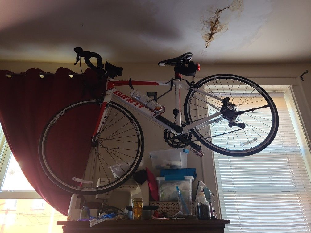 Bici