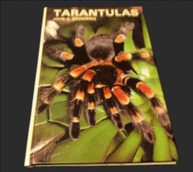 Rare Hardcover TARANTULAS Book 1981 By John G. Browning Excellent!