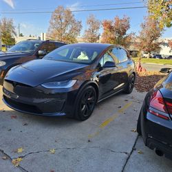 Window // Tint / Wraps