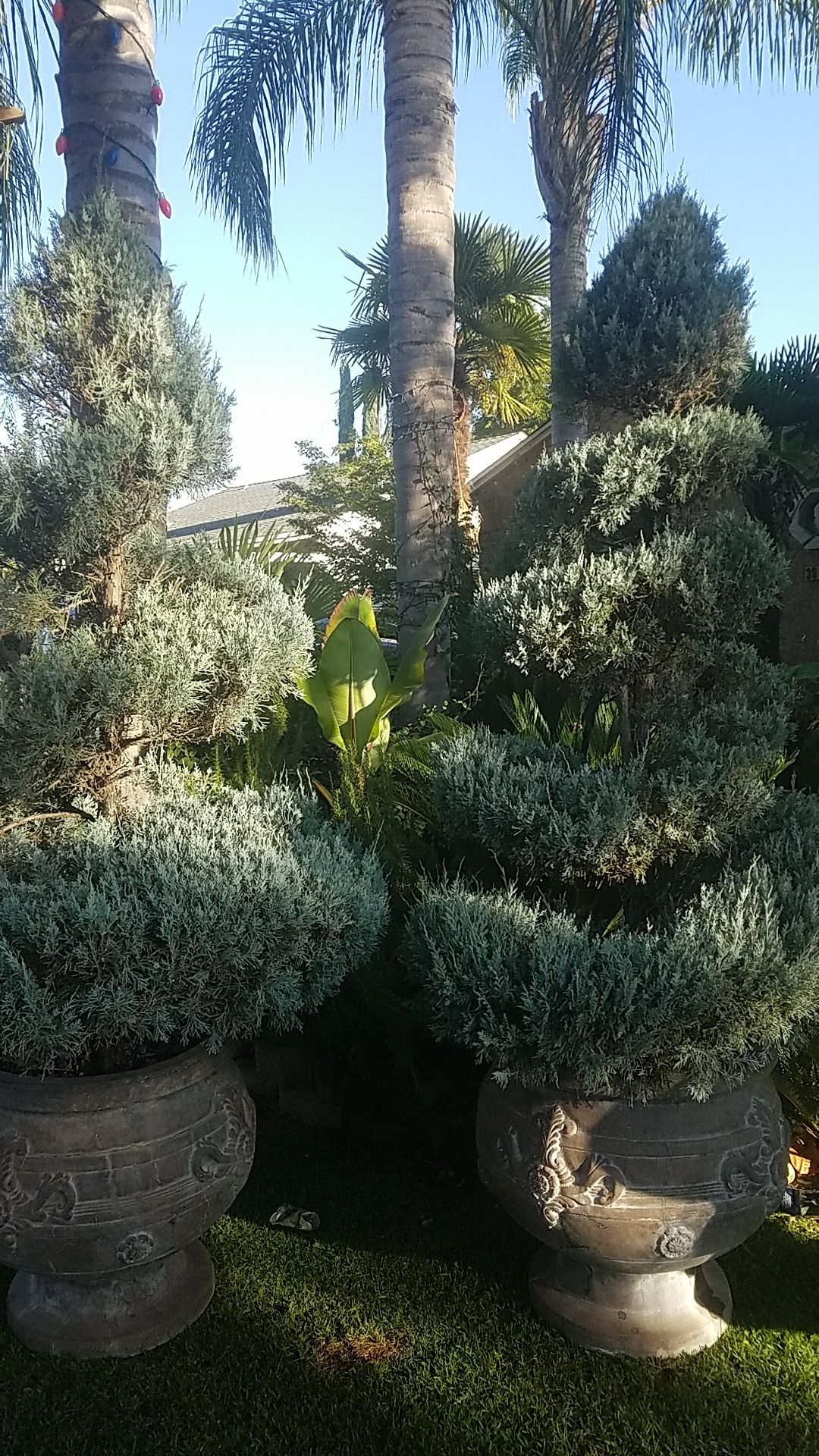 Pots and fountain